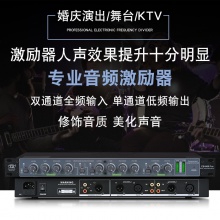 专业人声效果器带独立低频输出处理器 舞台演出KTV音频激励器